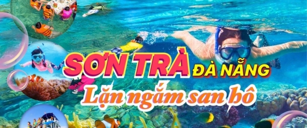 Tour lặn ngắm san hô Sơn Trà Đà Nẵng khởi hành hằng ngày siêu khuyến mãi