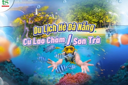 Du lịch Đà Nẵng nên đi Bán Đảo Sơn Trà hay Cù Lao Chàm? Review chi tiết cho mùa hè 2025