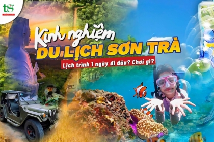 Kinh nghiệm du lịch bán đảo Sơn Trà 2025: Lịch trình 1 ngày đi đâu, chơi gì?