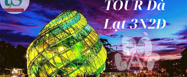 Tour Đà Lạt 3 ngày 2 đêm - Hành trình chạm vào thành phố ngàn hoa
