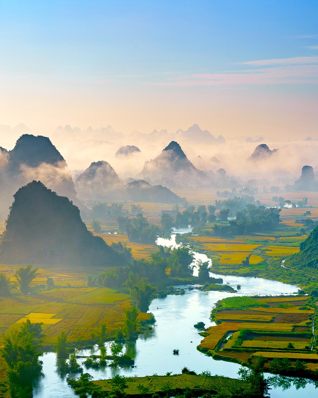 /561354147_1372014918265341_2012982349131105642_n