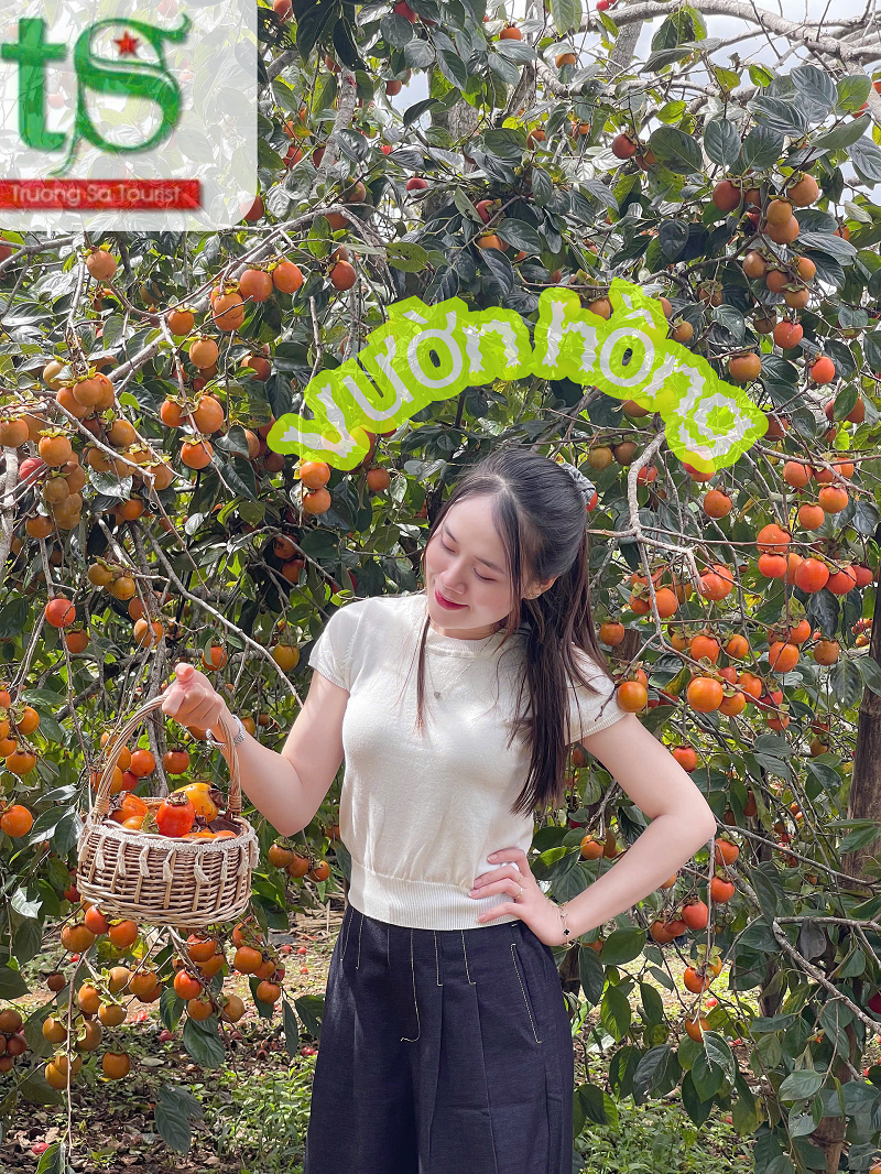 Reivew-du-lich-mang-den-2025(2)