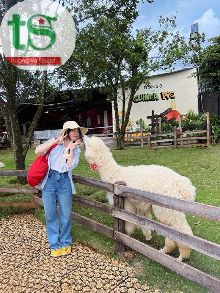 Tour-%C4%90%C3%A0-L%E1%BA%A1t-3-ng%C3%A0y-2-%C4%91%C3%AAm(3)