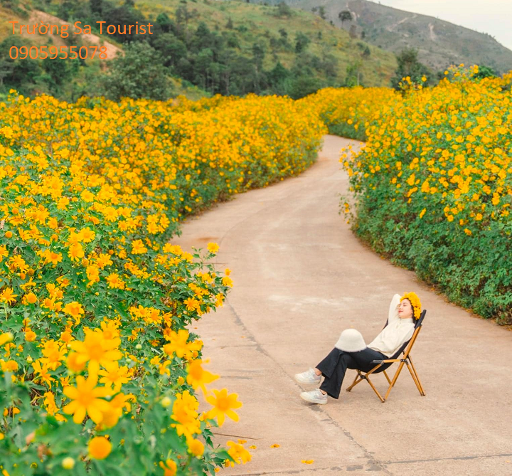 Tour-2-ngay-1-dem-kham-pha-hoa-da-quy-mang-den(2)
