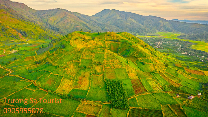 Tour-2-ngay-1-dem-kham-pha-hoa-da-quy-mang-den(3)