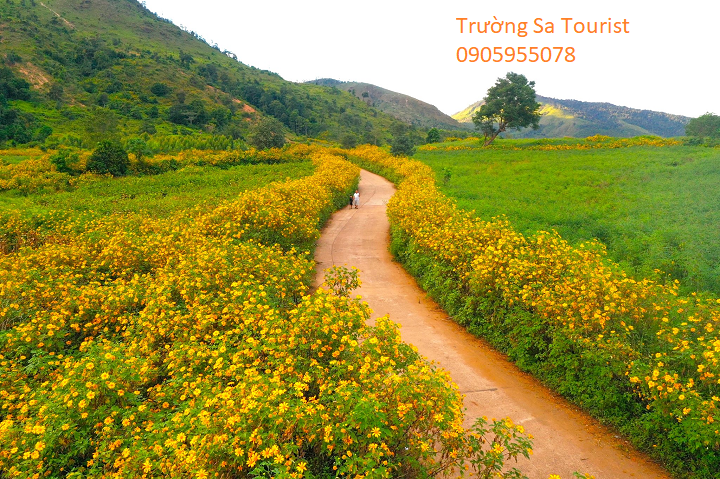 Tour-2-ngay-1-dem-kham-pha-hoa-da-quy-mang-den(5)