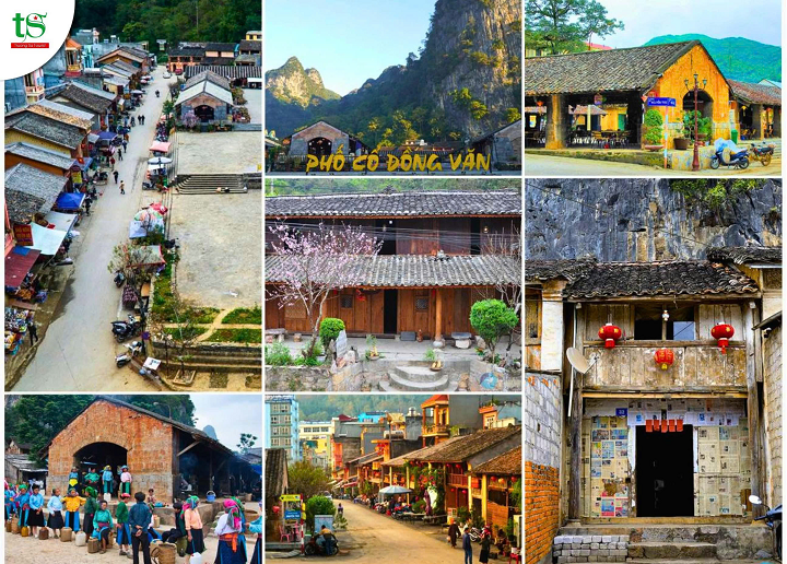 Tour-H%C3%A0-Giang-3-ng%C3%A0y-2-%C4%91%C3%AAm-m%C3%B9a-hoa-tam-gi%C3%A1c-m%E1%BA%A1ch-t%E1%BB%AB-%C4%90%C3%A0-N%E1%BA%B5ng(5)