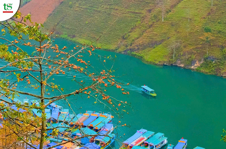 Tour-H%C3%A0-Giang-3-ng%C3%A0y-2-%C4%91%C3%AAm-m%C3%B9a-hoa-tam-gi%C3%A1c-m%E1%BA%A1ch-t%E1%BB%AB-%C4%90%C3%A0-N%E1%BA%B5ng(7)
