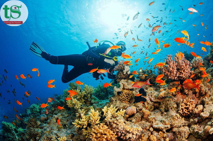 Tour-cu-lao-cham-1-ngay(2)