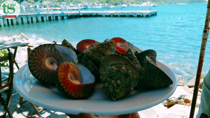 Tour-cu-lao-cham-1-ngay(4)