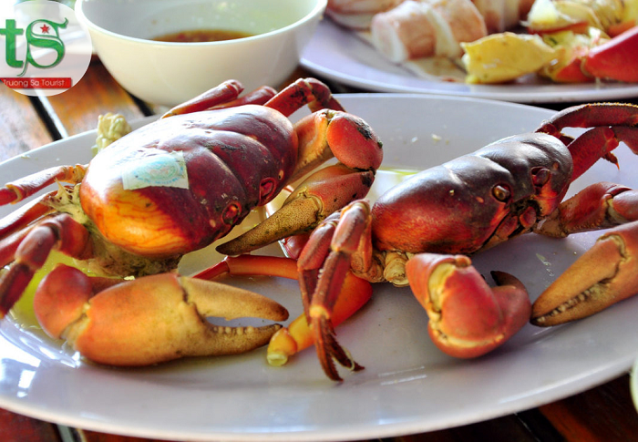 Tour-cu-lao-cham-1-ngay(9)