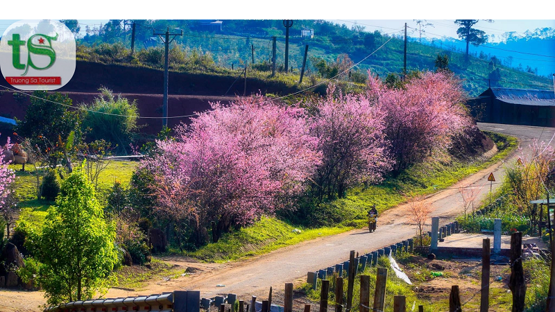 Tour-mang-%C4%91en-2-ngay-1-dem-tet-nguyen-dan(2)