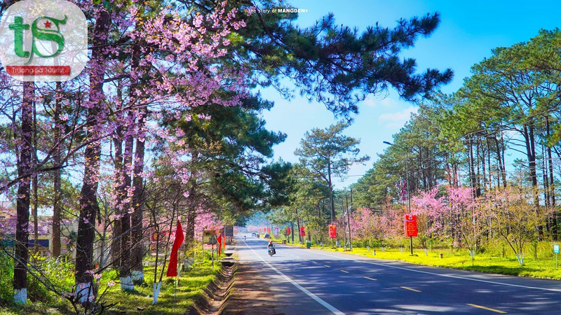 Tour-mang-%C4%91en-2-ngay-1-dem-tet-nguyen-dan(3)