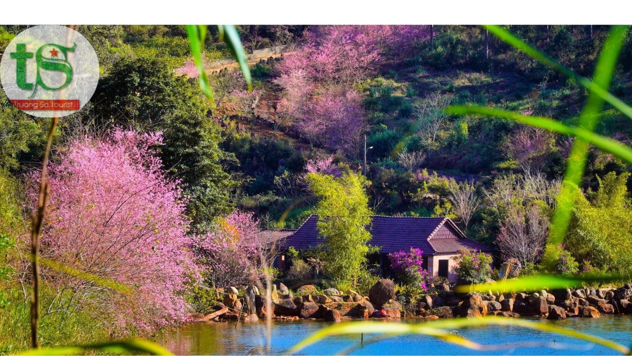 Tour-mang-%C4%91en-2-ngay-1-dem-tet-nguyen-dan(4)