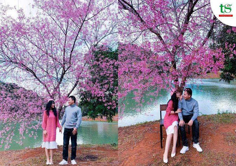 Tour-mang-%C4%91en-2-ngay-1-dem-tet-nguyen-dan(5)