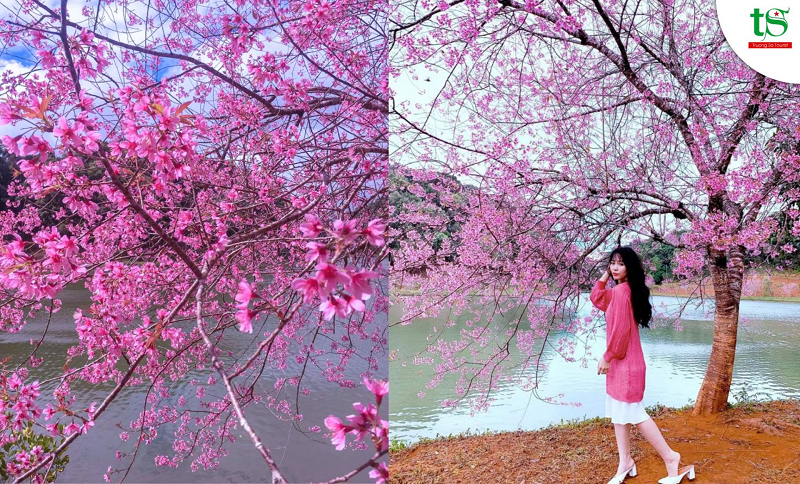 Tour-mang-%C4%91en-2-ngay-1-dem-tet-nguyen-dan(6)