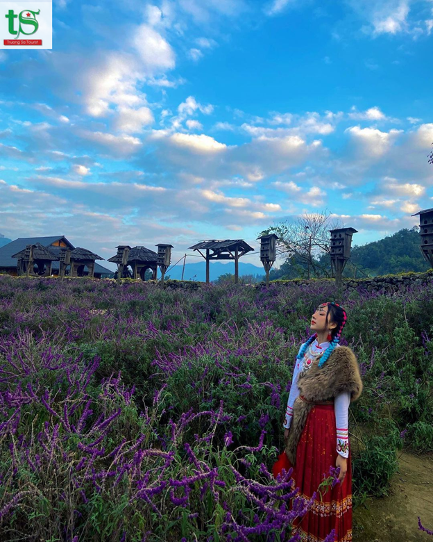 Tour-sapa-cat-cat-ham-rong-fansipan-tu-ha-noi(6)