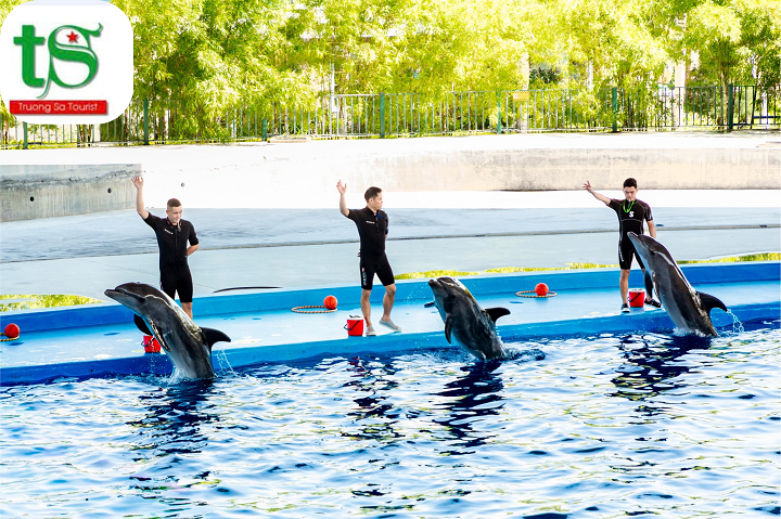 /Ve-show-ca-heo-va-hai-cau(4)