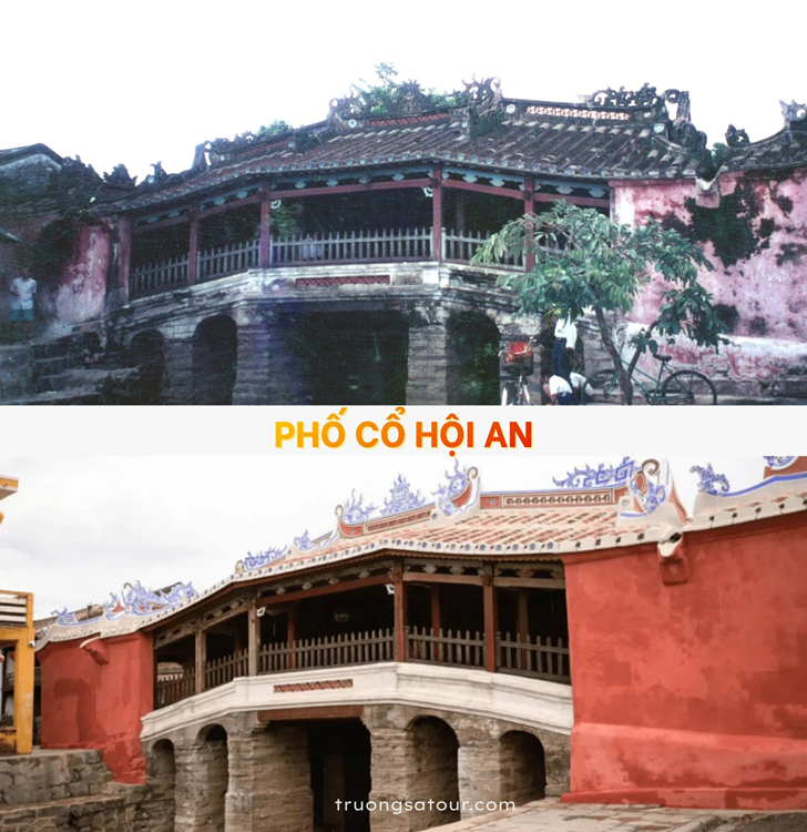 tour-da-nang-4-ngay-3-dem-tet-am-lich-khoi-hanh-tu-ha-noi(6)