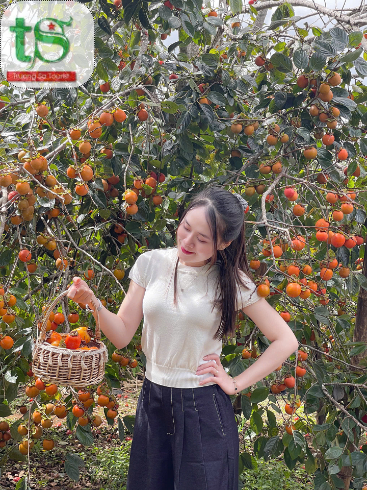 tour-kontum-mang-den-gia-lai-3-ngay-2-dem-tu-da-nang(3)